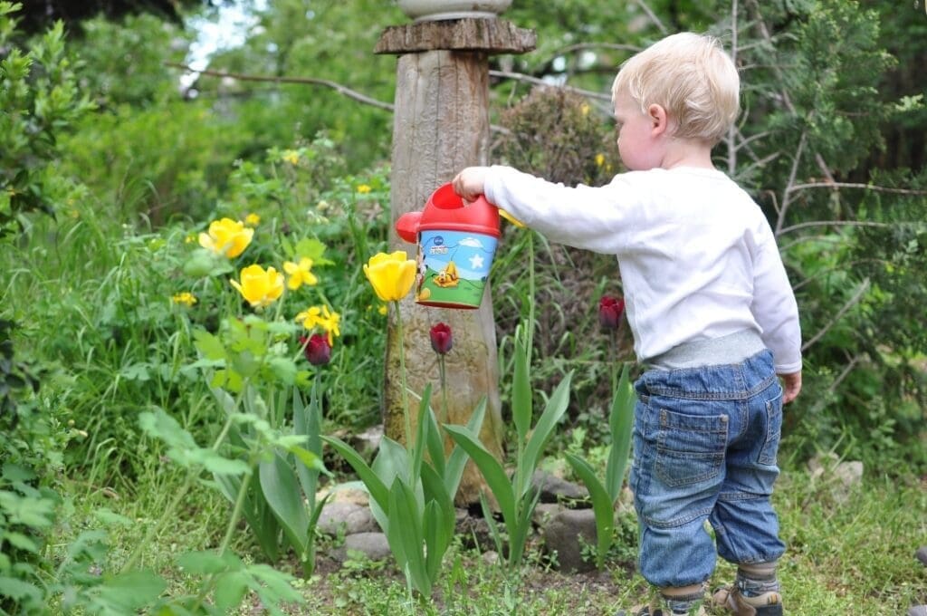 Best Plants to Grow with Children