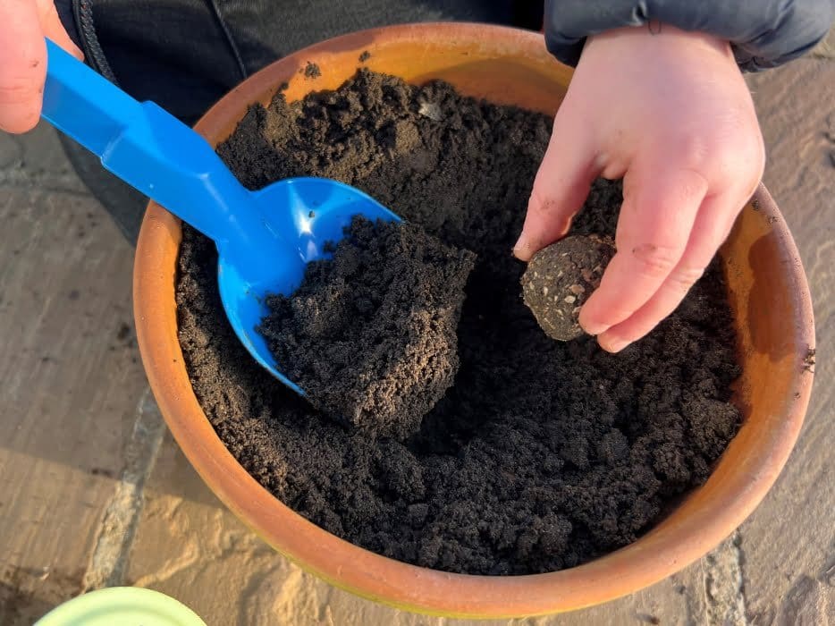 Make Seed Bombs Step 5 – Plant