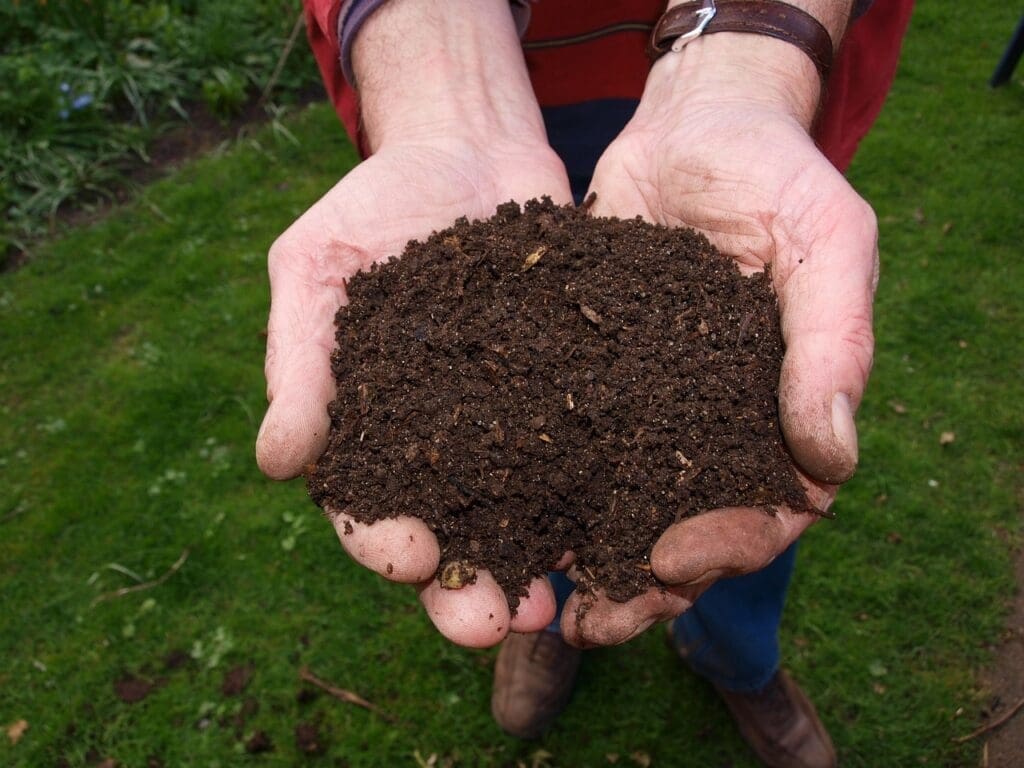 Different Mulch - Compost