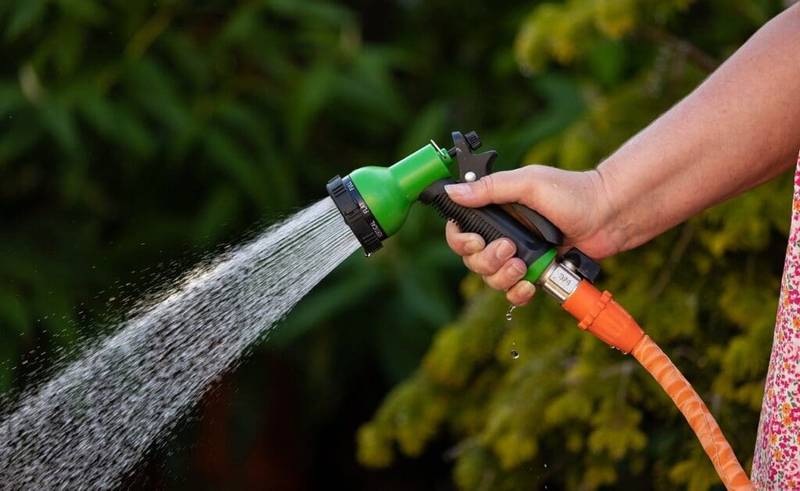 garden hose, water, spray-6302165.jpg