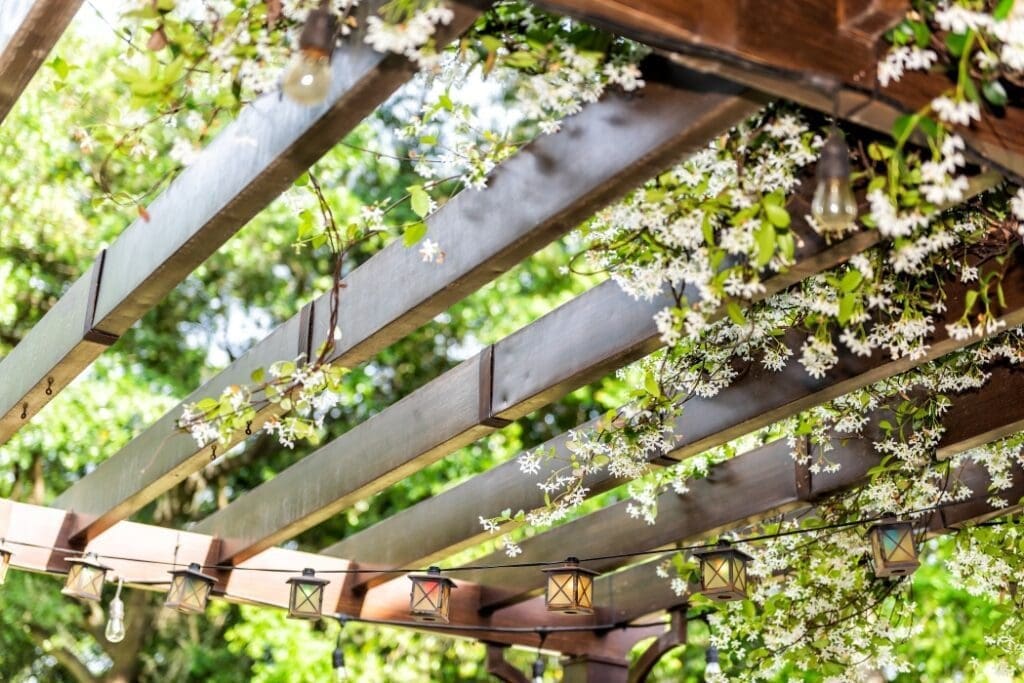 What is a pergola?